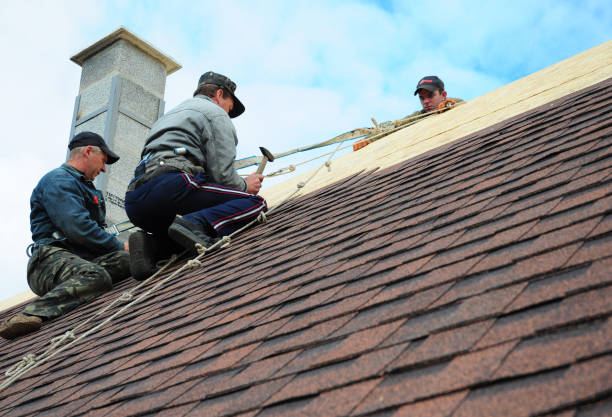 Quick and Trustworthy Emergency Roof Repair Services in Oro Valley, AZ